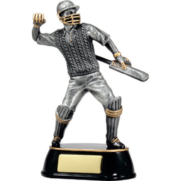 A357 Cricket Trophy