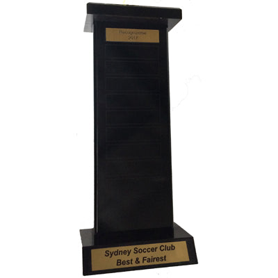 TP100X300 Wood Plaque