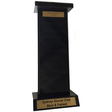 TP100X300 Wood Plaque