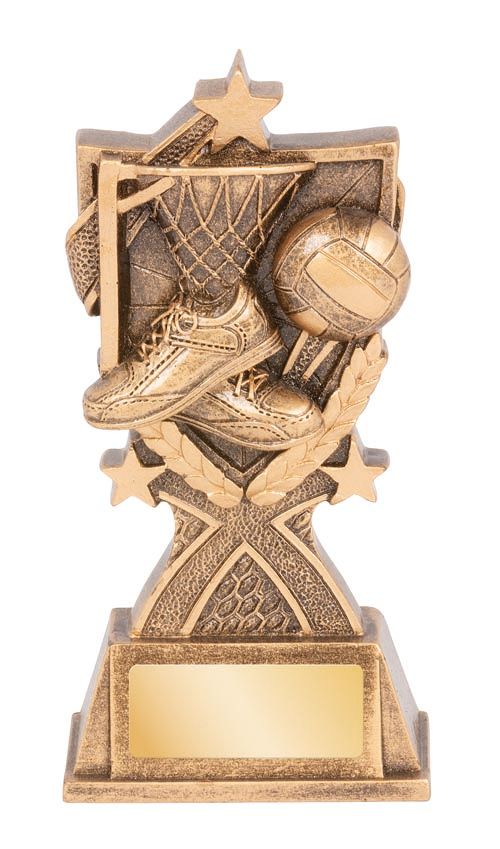 RGL153A Netball Trophy