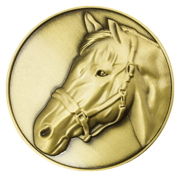 Equestrian / Horse