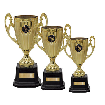 CT320 Cup