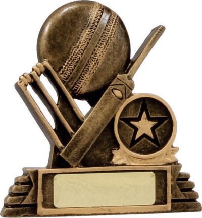 11010 Cricket Trophy