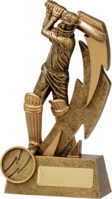 11614 Cricket Trophy
