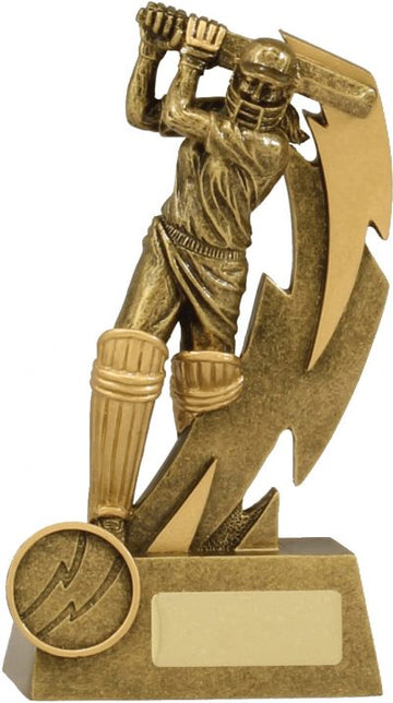11616A Cricket Trophy