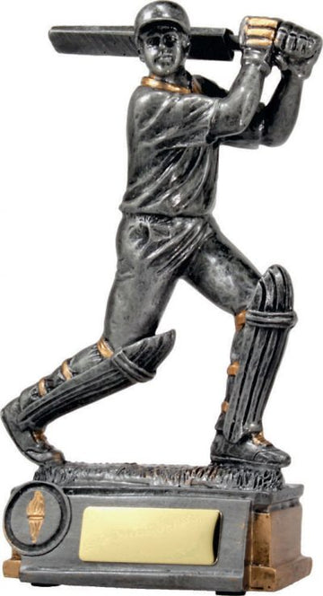12014 Cricket Trophy