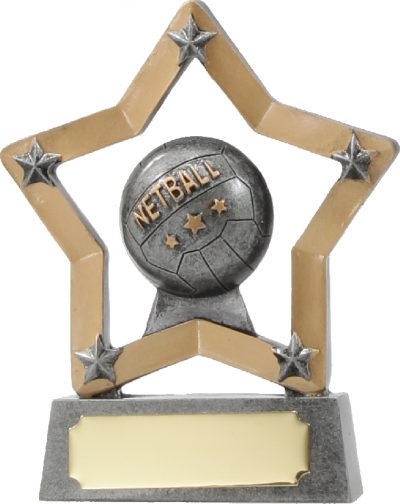 12911 Netball Trophy