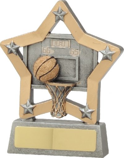 12934 Basketball Trophy