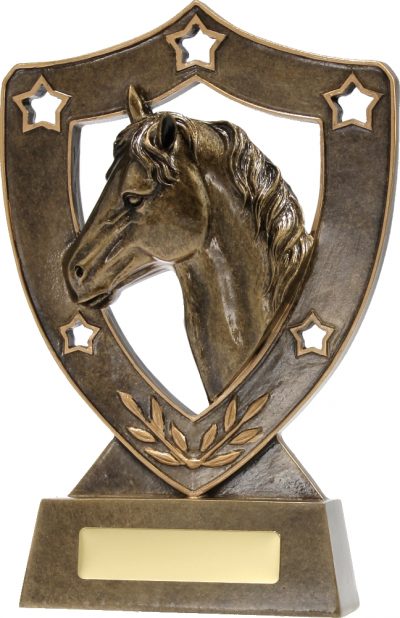 13535 Equestrian Trophy