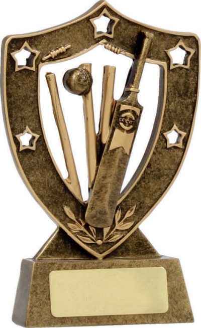 13540 Cricket Trophy
