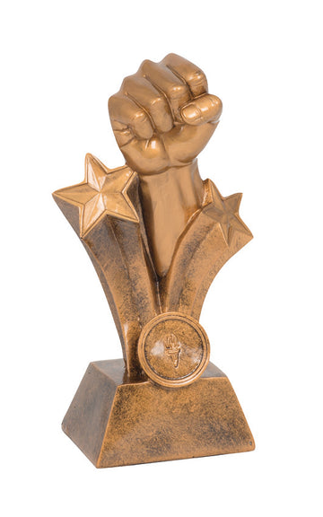 13990A Karate Trophy