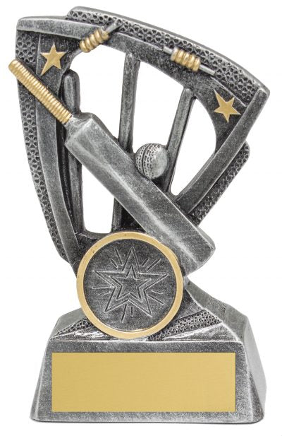 29540 Cricket Trophy