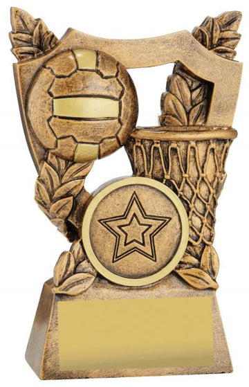 30437AA Netball Trophy