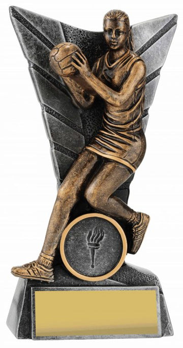 31291A Netball Trophy