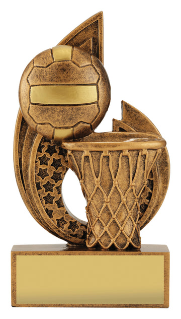 32491A Netball Trophy