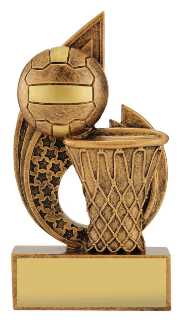 32491A Netball Trophy