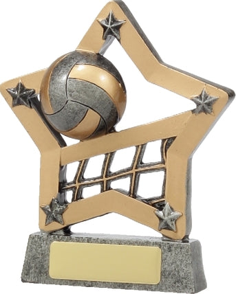 12927 Volleyball Trophy