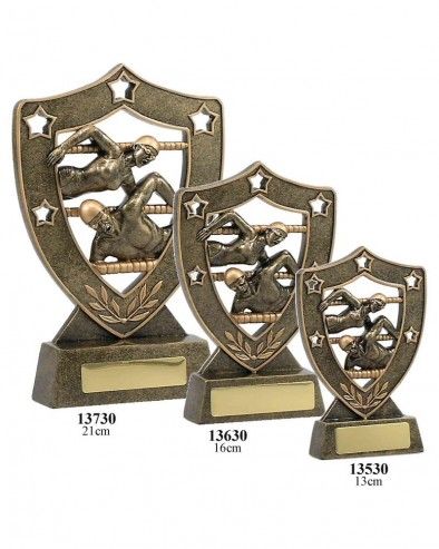 13530 Swimming Trophy