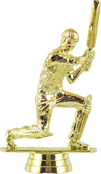 8414 Cricket Trophy