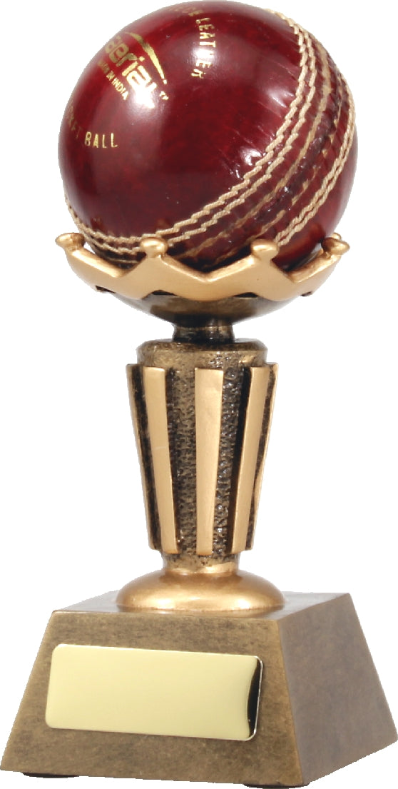 A1005 Cricket Ball Stand