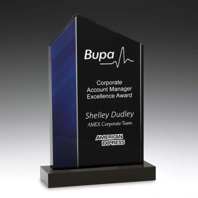 AC423 Acrylic Award