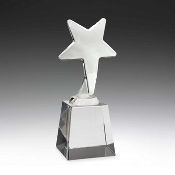 CC582 Crystal Award
