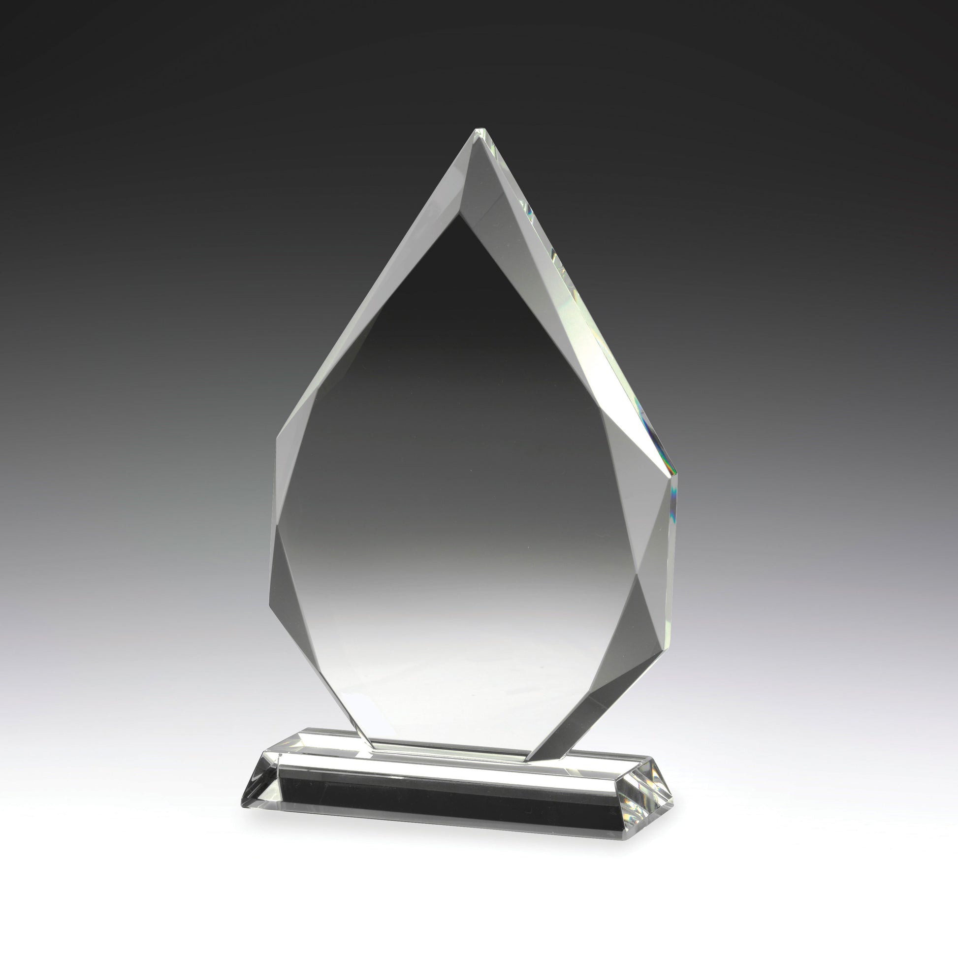 CC647 Crystal Award