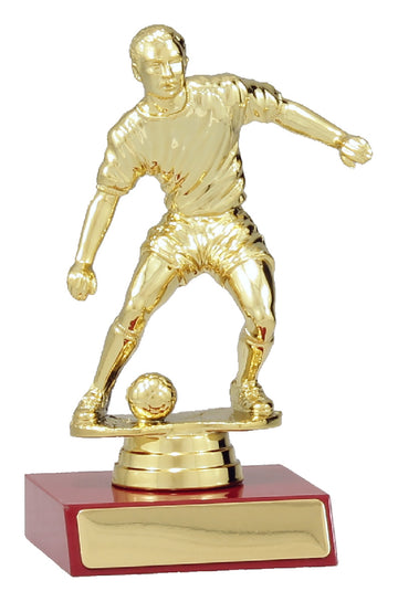 8200 Soccer Trophy