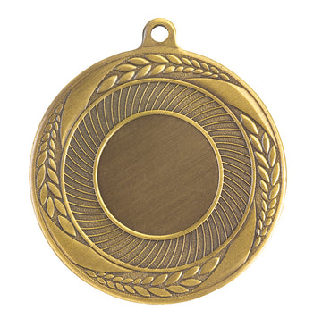 MS4000 Insert Medal