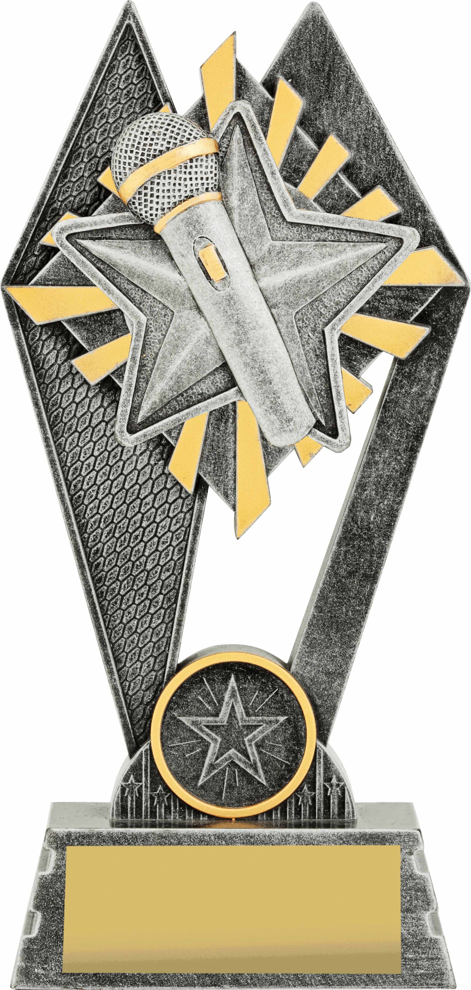 P213A Public Speaking Trophy