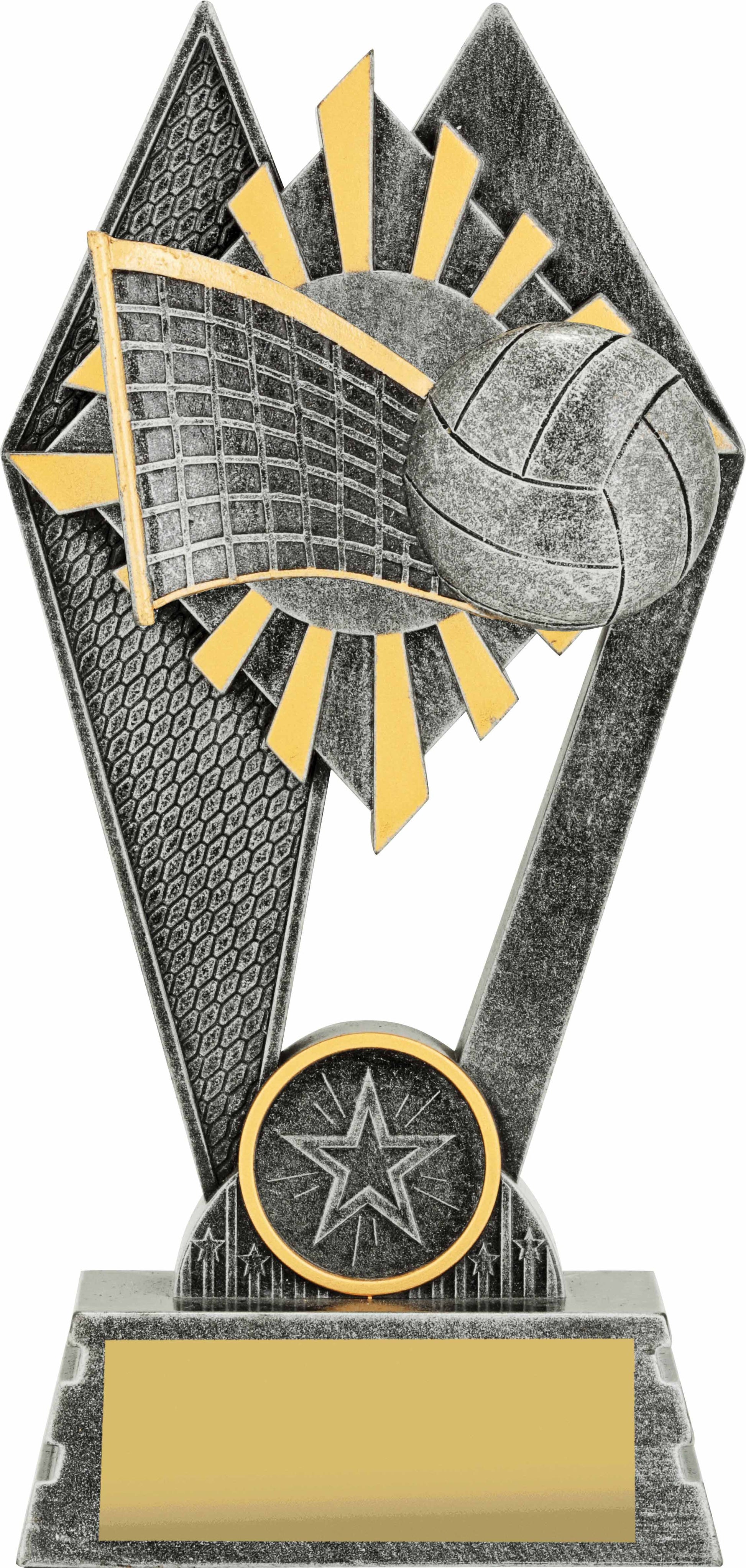 P227A Volleyball Trophy