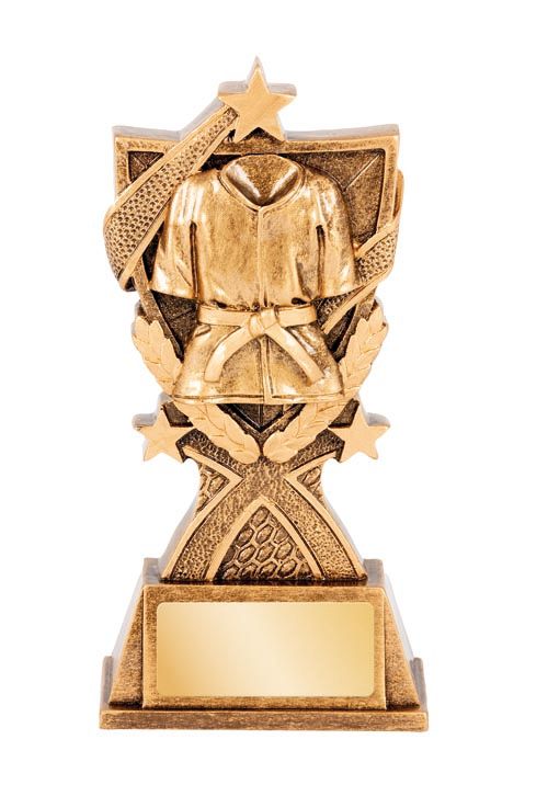 RGL146A Martial Arts Trophy