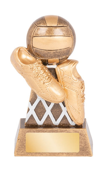 RGL253 Netball Trophy