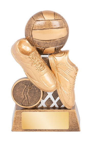 RGL253A Netball Trophy