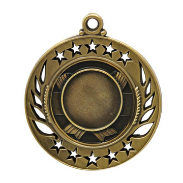 M400G Insert Medal