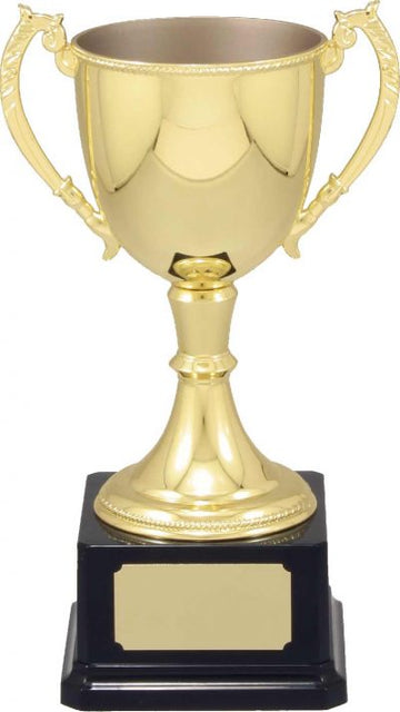 VT Trophy Cup Gold