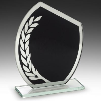 W879 Glass Award