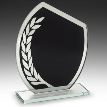 W879A Glass Award