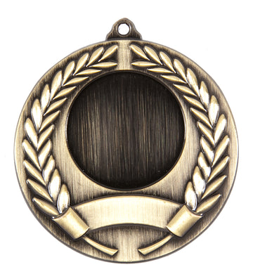 MM291AG Insert Medal