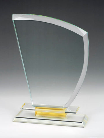 OE042 Crystal Award