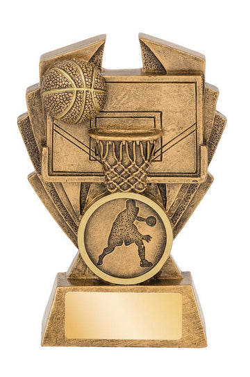 16560A Basketball Trophy