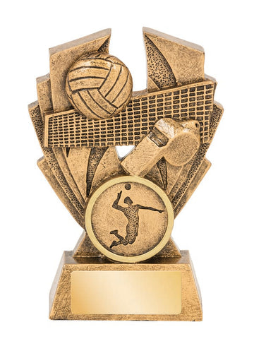 16572 Volleyball Trophy