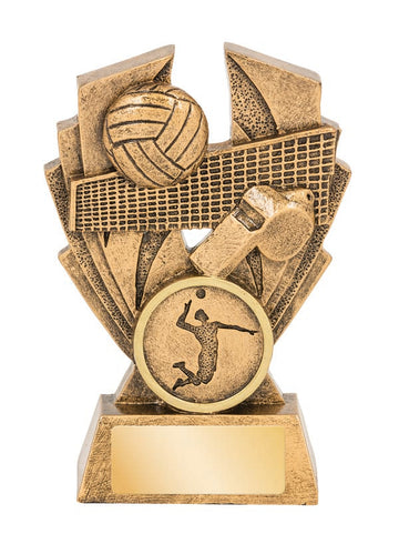 16572A Volleyball Trophy
