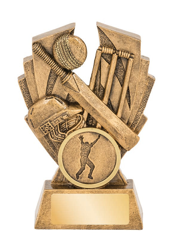 16564 Cricket Trophy