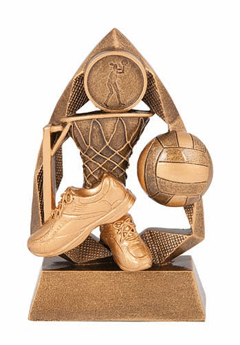 RLC453A Netball Trophy